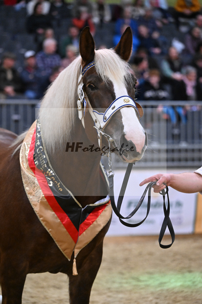Kat-Nr. 18 Nevada v. Schoenbrunn_Bacher_1260674 | hf-fotografie - Realisiert mit Pictrs.com