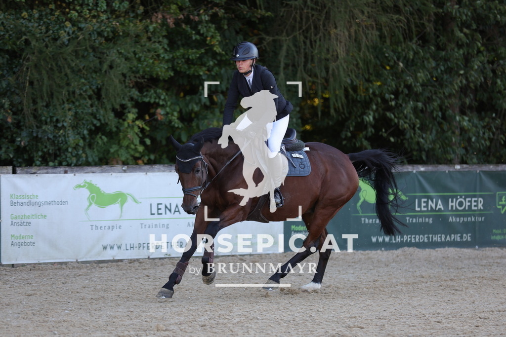 0P6A1676 | Willkommen bei Brunnmayr - Design & Fotografie – Ihrem Spezialisten für Reitturniere und Pferdeveranstaltungen in Oberösterreich, Salzburg und Bayern! Seit über 17 Jahren sind wir leidenschaftlich dabei.