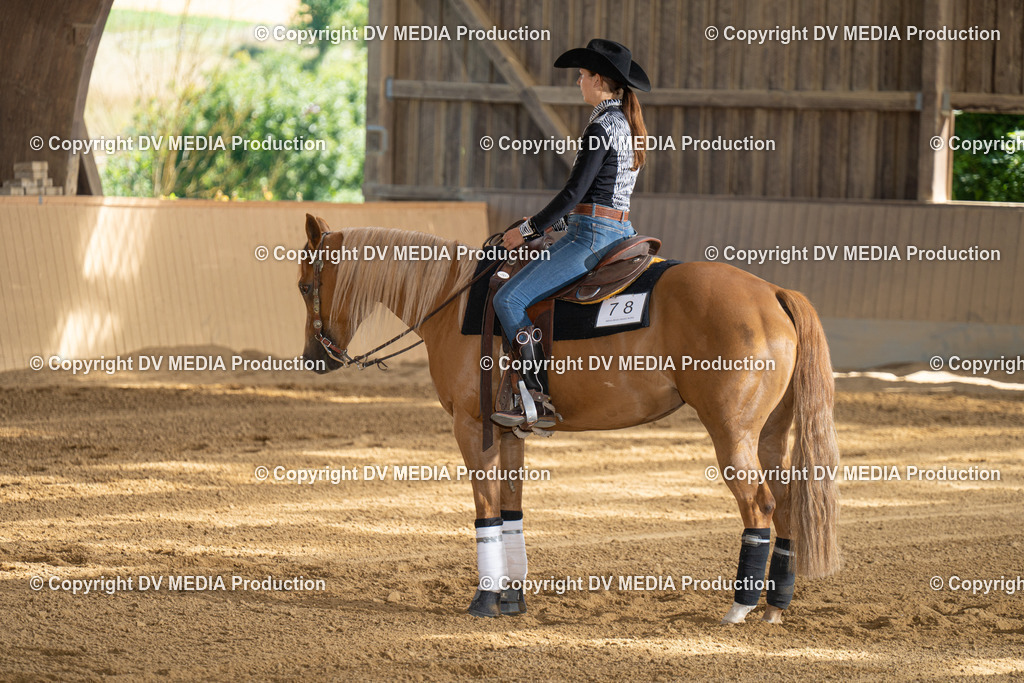 DSC00315 | dv-media-shop - Realisiert mit Pictrs.com