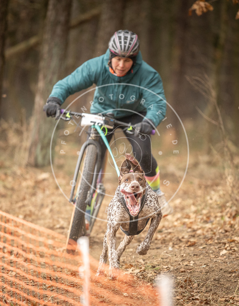 Pfotenfotografie_DV3A3923 | Hundefotografie, Tierfotograf, Pfotenfotografie, Fotoshooting Hund, Hunde Portrait, Hundesport, Hundeportraits, Heideshooting, Hunde, Sportfotograf, Hundefotograf, Turnierhundsport, THS,  - Realisiert mit Pictrs.com