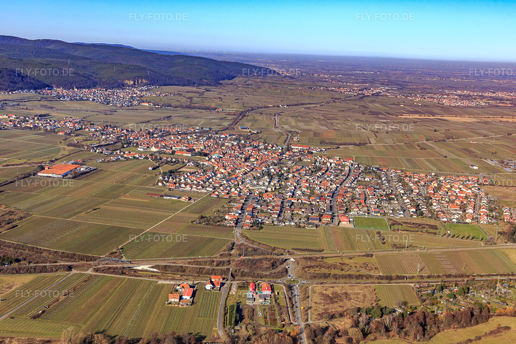 Luftbild: Stadtübersicht aus Süden im Ortsteil Mußbach in Neustadt im Bundesland Rheinland-Pfalz in Deutschland. Foto: IMG_125351.jpg vom 21.02.2021 durch Werner Riehm/FLY-FOTO.de