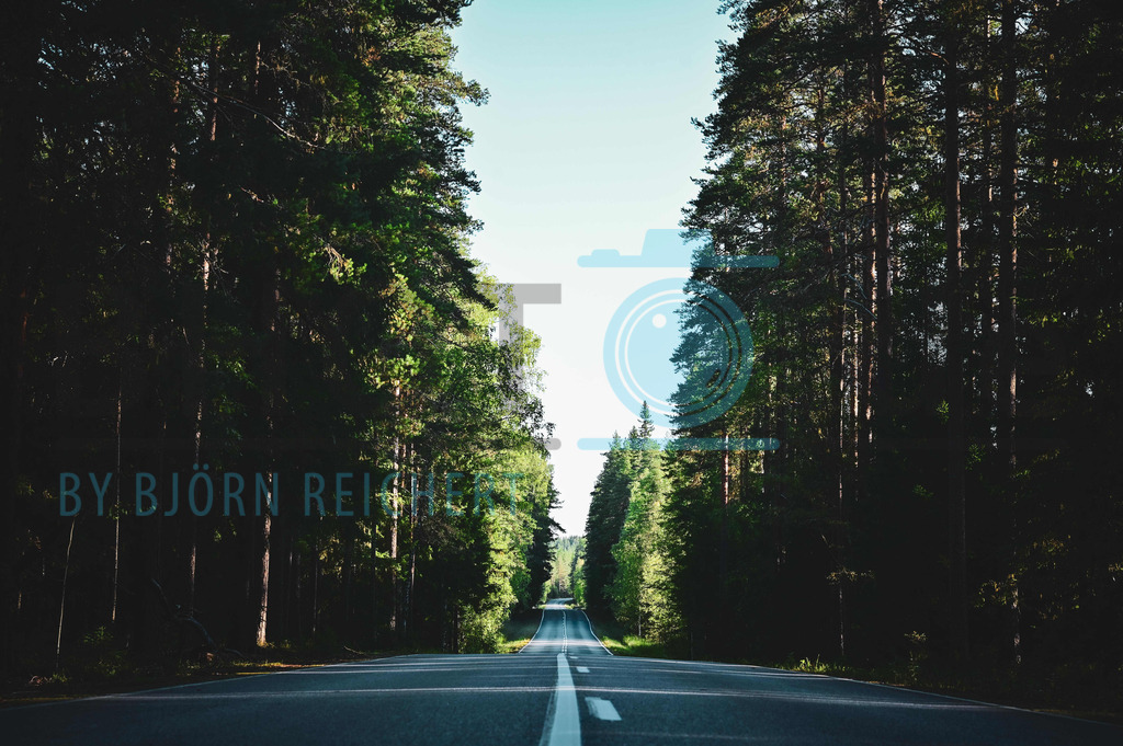 Road | Landschaft
© Björn Reichert/Bhoto.de