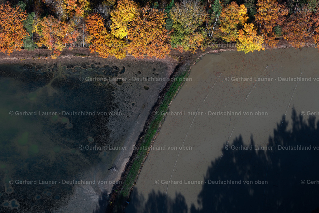 3808138 | Herbstliche Bäume an den Fischteichen bei Adelsdorf