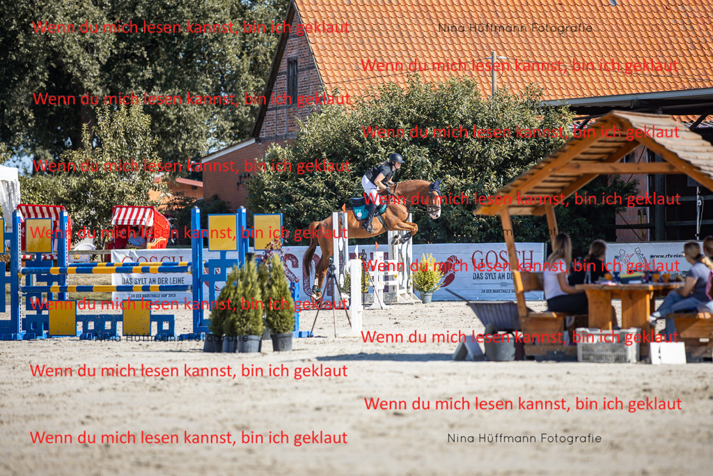 BK1A7199 | Turnierbilder Turnierfotos Nina Hüffmann Turnierfotografie Pferdefotografie Tierzeichnung Haustierzeichnung Pferdezeichnung Hundezeichnung Videograf  - Realisiert mit Pictrs.com