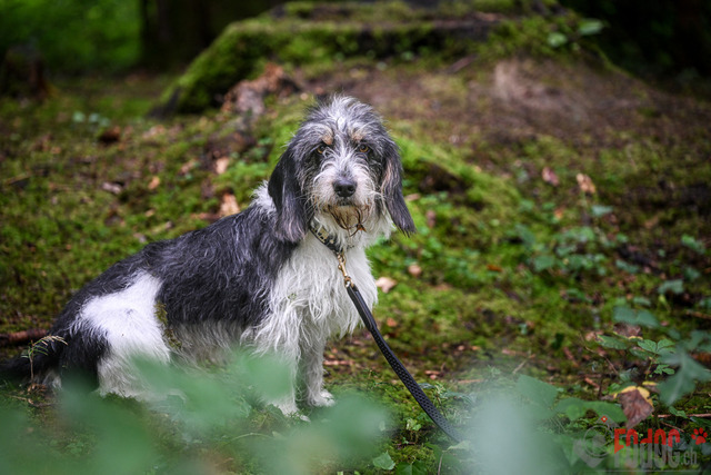 SNLC Ankoerung Lotzwil | SNLC Ankoerung in Lotzwil. 02.07.2023 Foto: LeoWyden