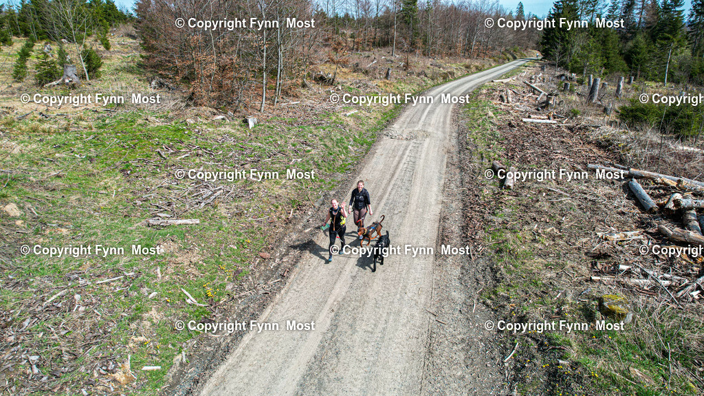 DJI_0556 | default - Realisiert mit Pictrs.com