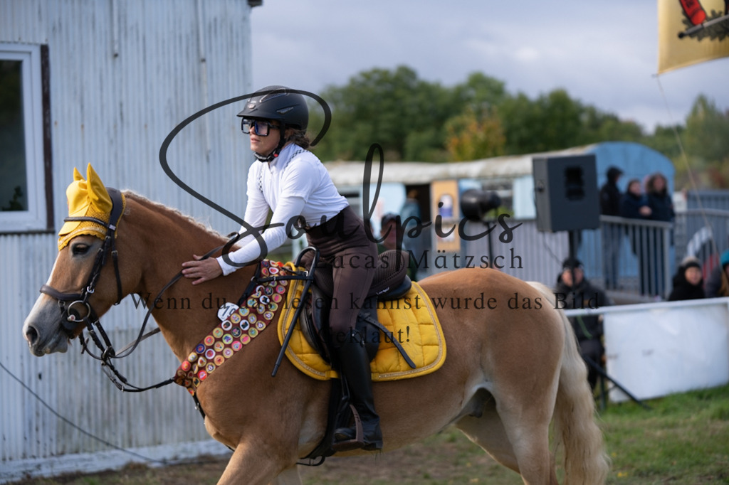 A7V06469 | Pferdefotograf