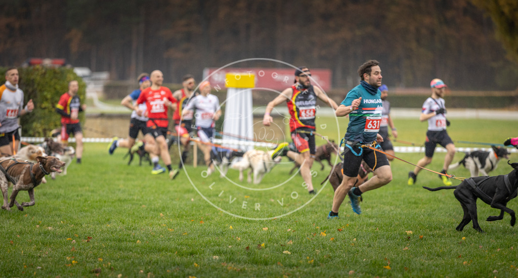 CaniXpix_DV3A9486 | Hundefotografie, Tierfotograf, Pfotenfotografie, Fotoshooting Hund, Hunde Portrait, Hundesport, Hundeportraits, Heideshooting, Hunde, Sportfotograf, Hundefotograf, Turnierhundsport, THS,  - Realisiert mit Pictrs.com