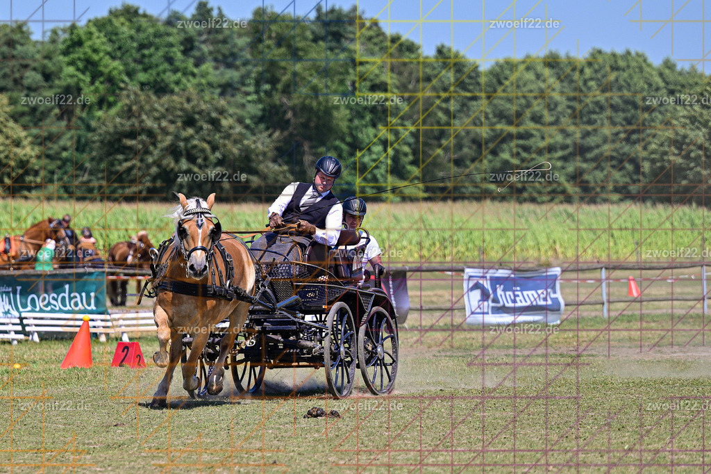 30 Jahre RFV Pulsnitz e.V., Pulsnitz am 09.08.2026 | Zur 28. breitensportlichen Veranstaltung des RFV Pulsnitz e.V. fanden verschiedene Wettbewerbe in nahezu allen Disziplinen des Pferdesport statt. - 18 Kegel-Fahr-Wettbewerb - Realisiert mit Pictrs.com