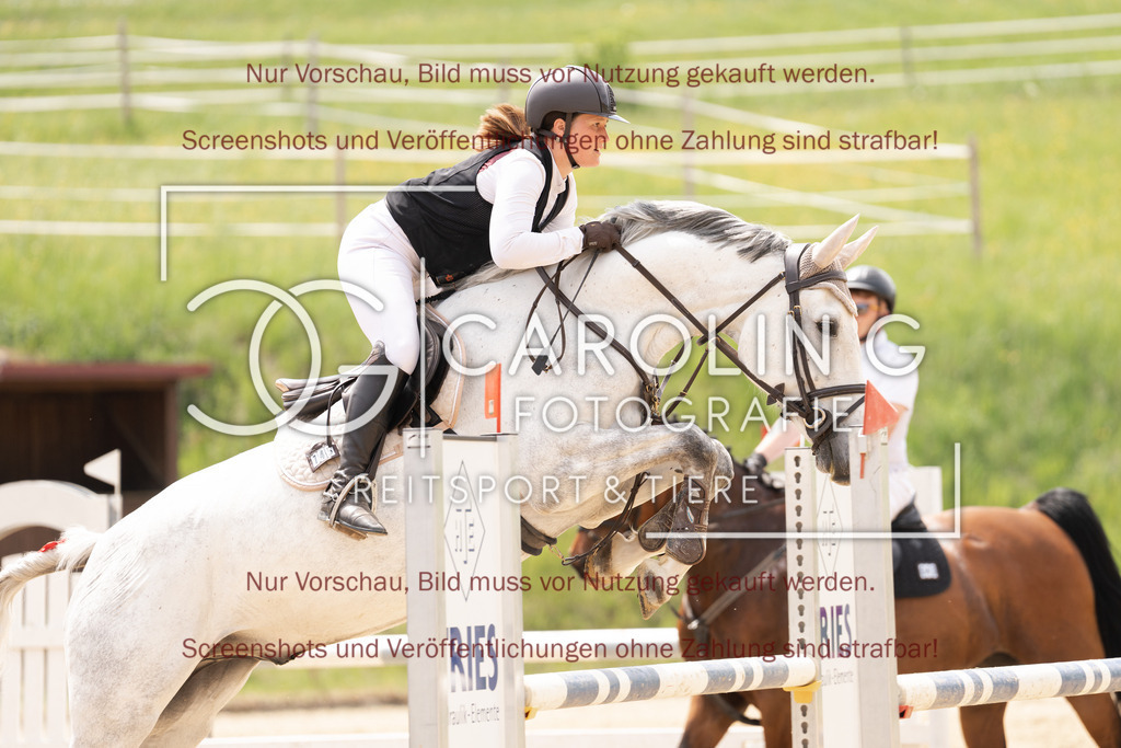 DSC06684 | Springturnier_Ehingen_Mai_2026, Melissa_Ramminger, Lemook