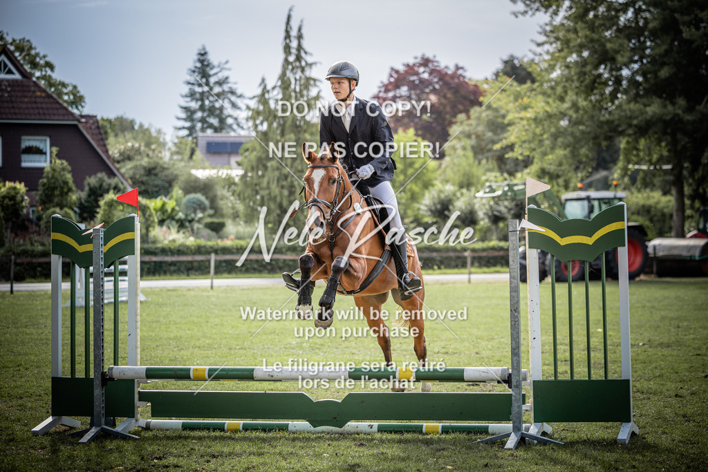 nelerasche_Nachtrag60cmEde_69 | nelerasche