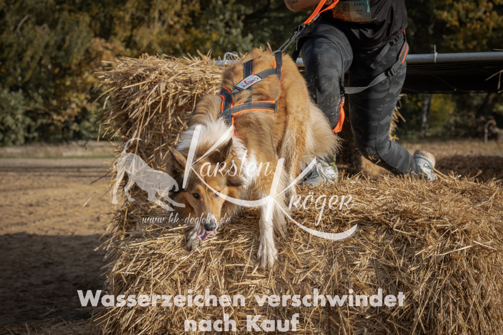 1035_ZZ98898 | kk-dogfotos