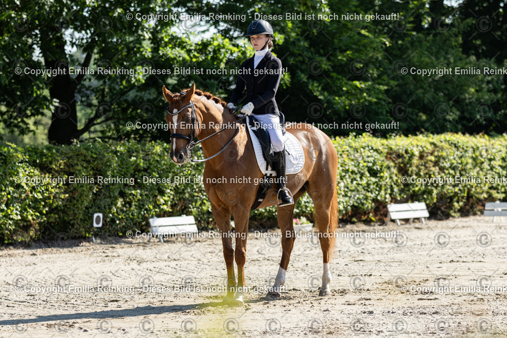 CL5A6875 | Emilia Reinking Fotografie - Realisiert mit Pictrs.com