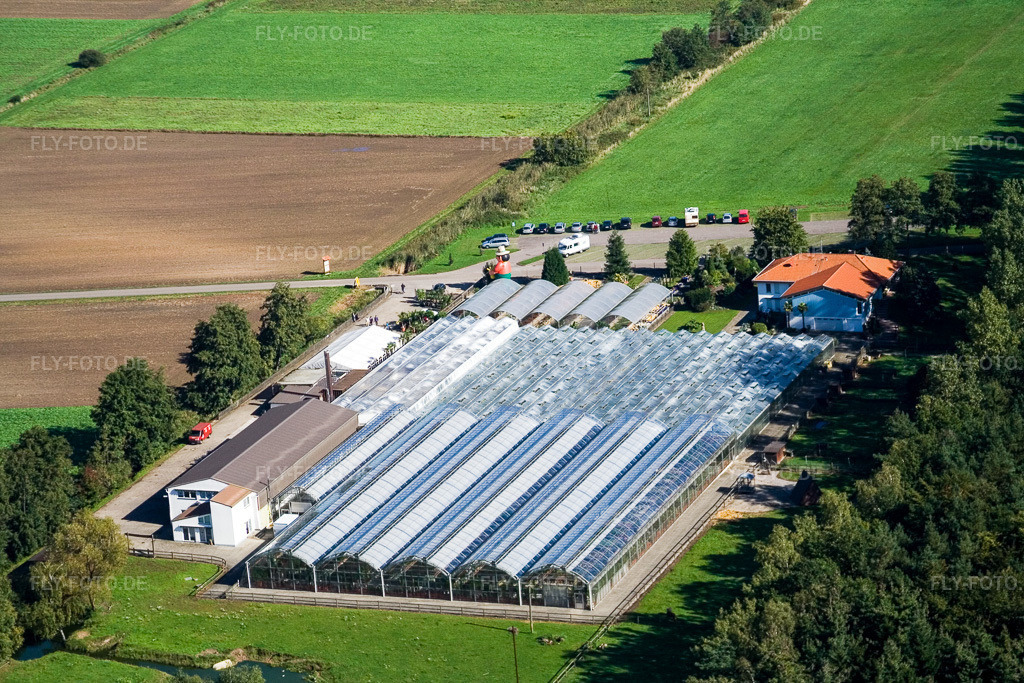 Luftbild: Kakteenland Steinfeld in Steinfeld im Bundesland Rheinland-Pfalz in Deutschland. Foto: IMG_4347.jpg vom 08.10.2006 durch Werner Riehm/FLY-FOTO.de