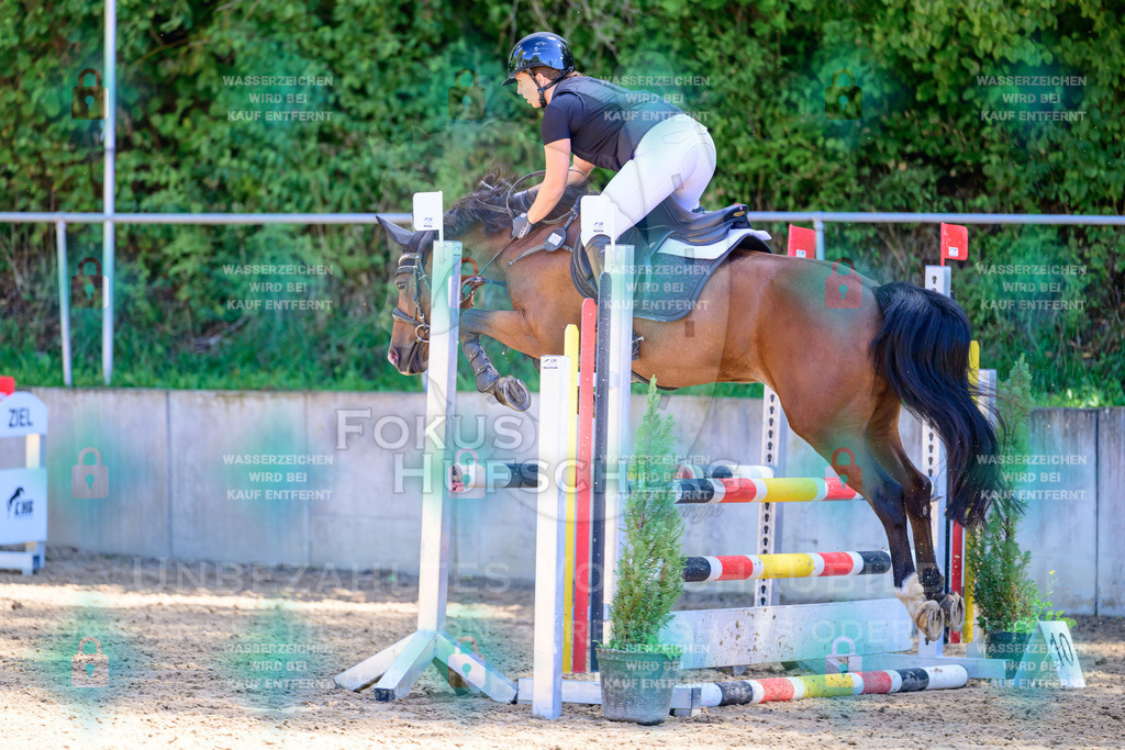 29082026-Giesenbach-Prfg10-0861 | Fokus Hufschlag Fotografie - Realisiert mit Pictrs.com