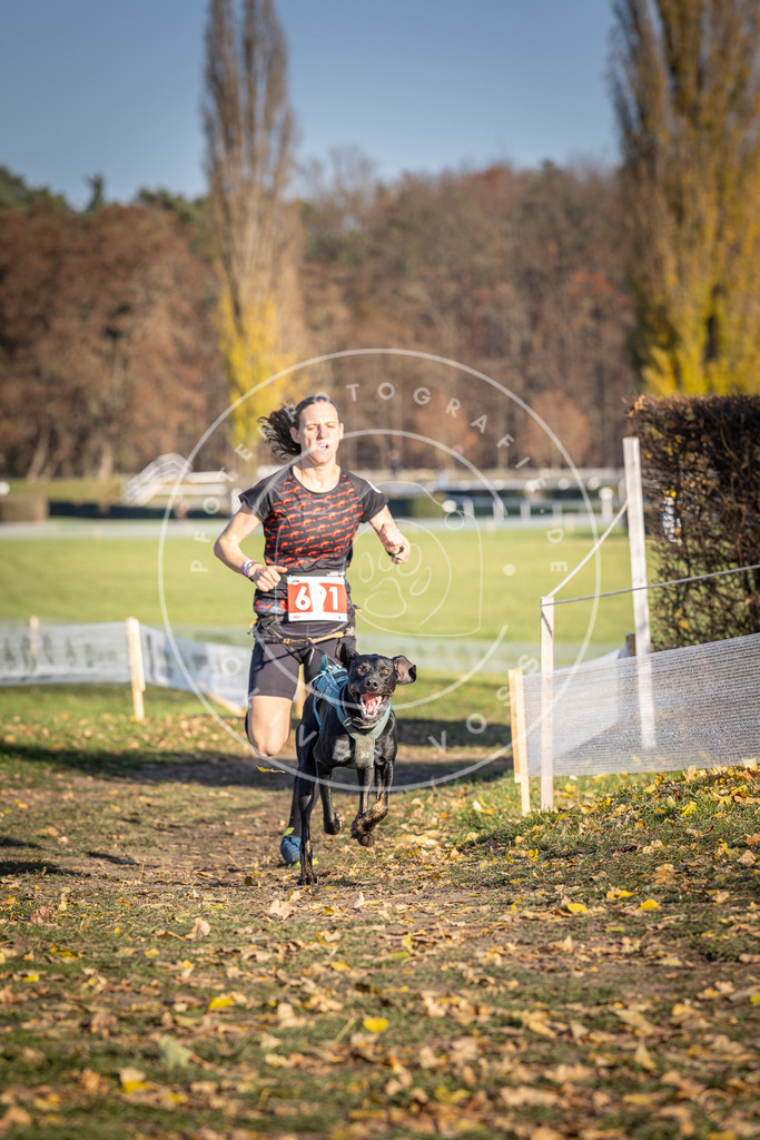 CaniXpix_DV3A1265 | Hundefotografie, Tierfotograf, Pfotenfotografie, Fotoshooting Hund, Hunde Portrait, Hundesport, Hundeportraits, Heideshooting, Hunde, Sportfotograf, Hundefotograf, Turnierhundsport, THS,  - Realisiert mit Pictrs.com