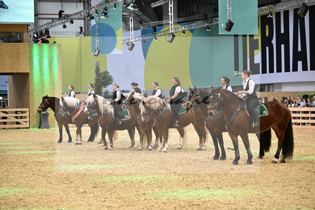 Schauprogramm_Dressurquadrille_1261106 | hf-fotografie - Realisiert mit Pictrs.com