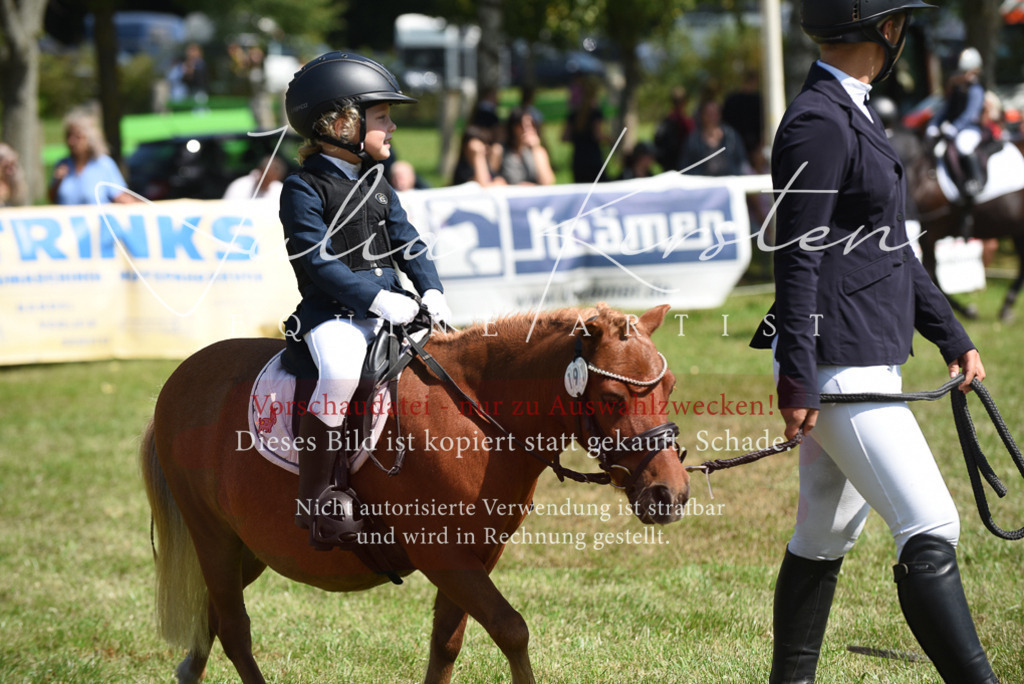 DSC_9849 | Pferde- und Turnierfotografie in Westsachsen. Pferdeportraits, Auftragszeichnungen und intuitive Kunst.