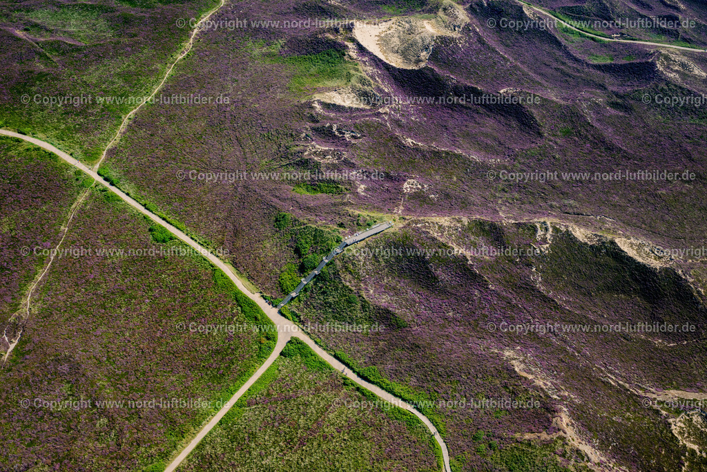 Sylt_Kampen_Uwe_Düne_Höchster_Punkt_ELS_0198130825 | KAMPEN (SYLT) 13.08.2025 Aussichtsplattform " Düne Uwe " in der Heide-Landschaft Kampen (Sylt) auf der Insel Sylt im Bundesland Schleswig-Holstein, Deutschland. // Observation platform "Duene Uwe" in the heath landscape of Kampen (Sylt) on the island of Sylt in the federal state of Schleswig-Holstein, Germany. Foto: Martin Elsen