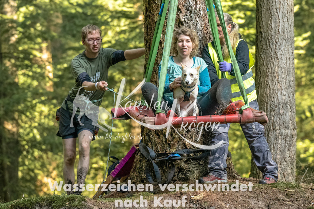 0956_ZZ92327-Bearbeitet | kk-dogfotos