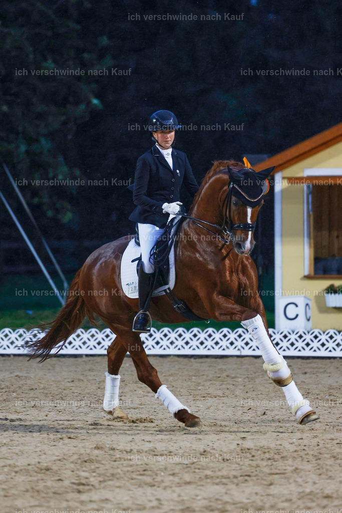 04_2-Siegerehrung-Dressur M__ -StoibPH-2913 | working equitationturnier fotograf videograf stoibphotography marixx film working equitation deutschland reitsport turnierfotografie eventfotografie equestrian events