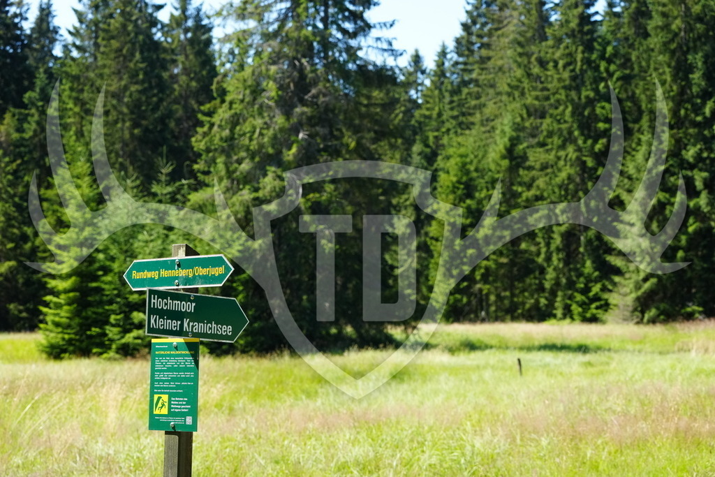 FC101436 | Fotogalerie der Treibjagd im Dunkelwald - Dein MTB Etappenrennen im Erzgebirge - Realisiert mit Pictrs.com