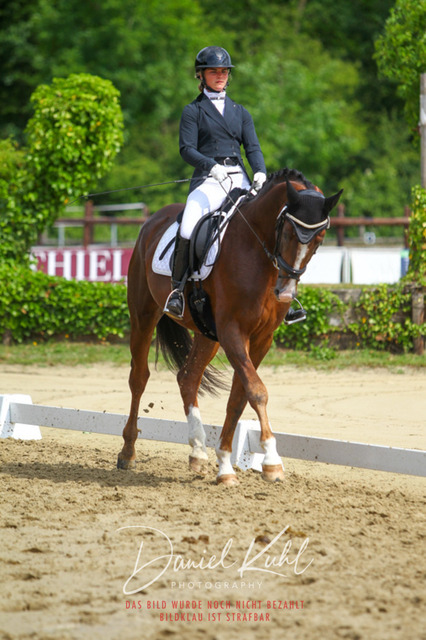 DKP45829 | Turniersportfotografie; Pferdefotografie; Dressurfotografie