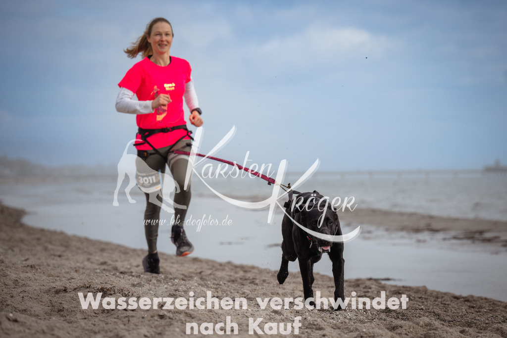 1217_ZZ96046 | kk-dogfotos