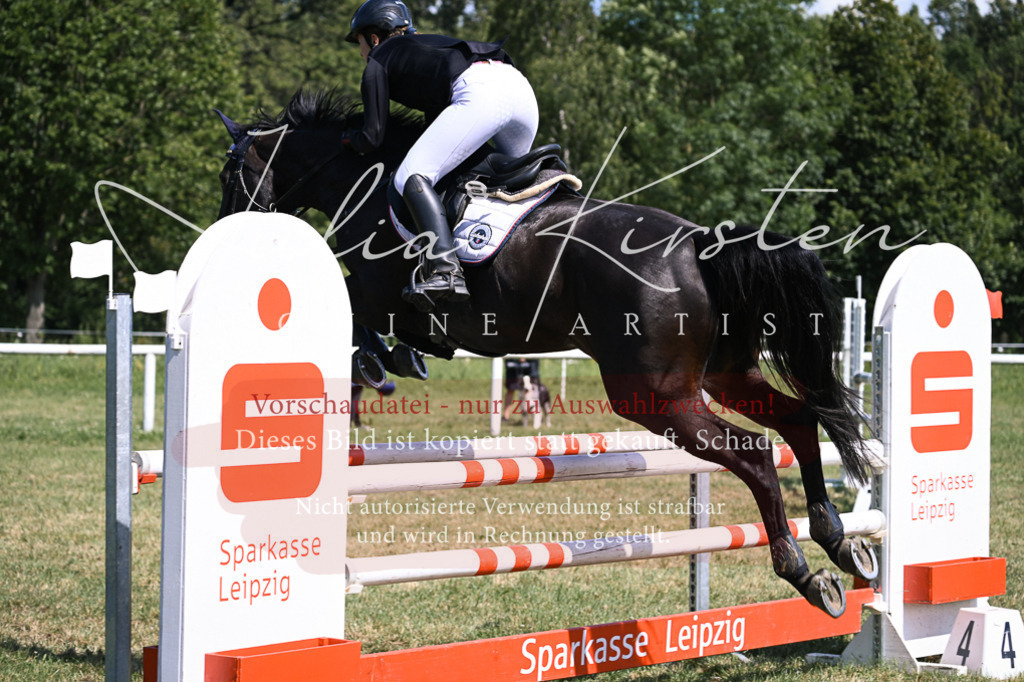 DSC_0504 | Pferde- und Turnierfotografie in Westsachsen. Pferdeportraits, Auftragszeichnungen und intuitive Kunst.