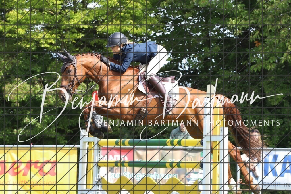 IMG_7360 | Benjamin Bartmann Photomoments