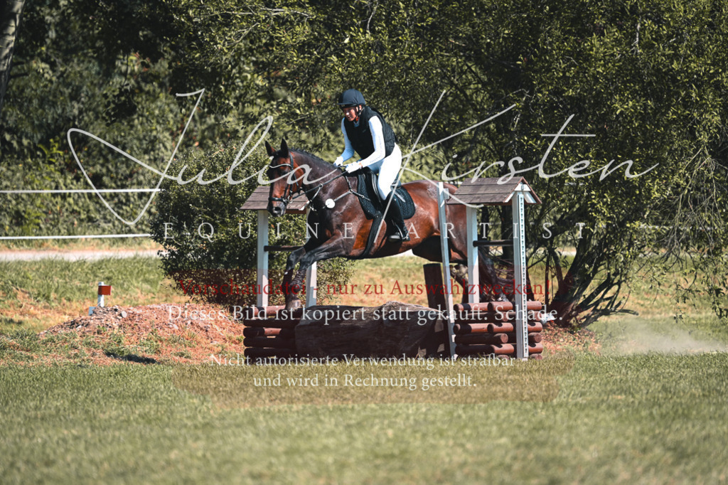 DSC_7889-2 | Pferde- und Turnierfotografie in Westsachsen. Pferdeportraits, Auftragszeichnungen und intuitive Kunst.