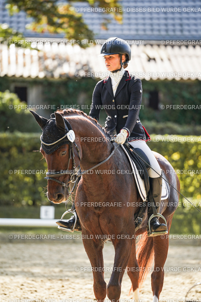 DSC08157 | Pferdegrafie