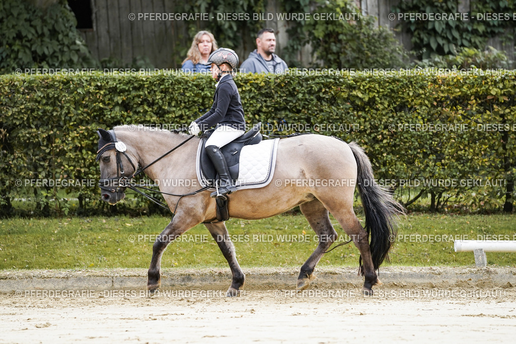 DSC05143 | Pferdegrafie