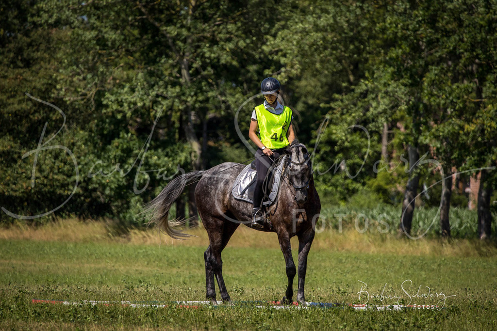 CJP_2026-06-26_121 | Stimmungsvolle Fotografie von Pferden, fotografische Begleitung von Veranstaltungen, Golfturnieren und Distanzritten - Realisiert mit Pictrs.com