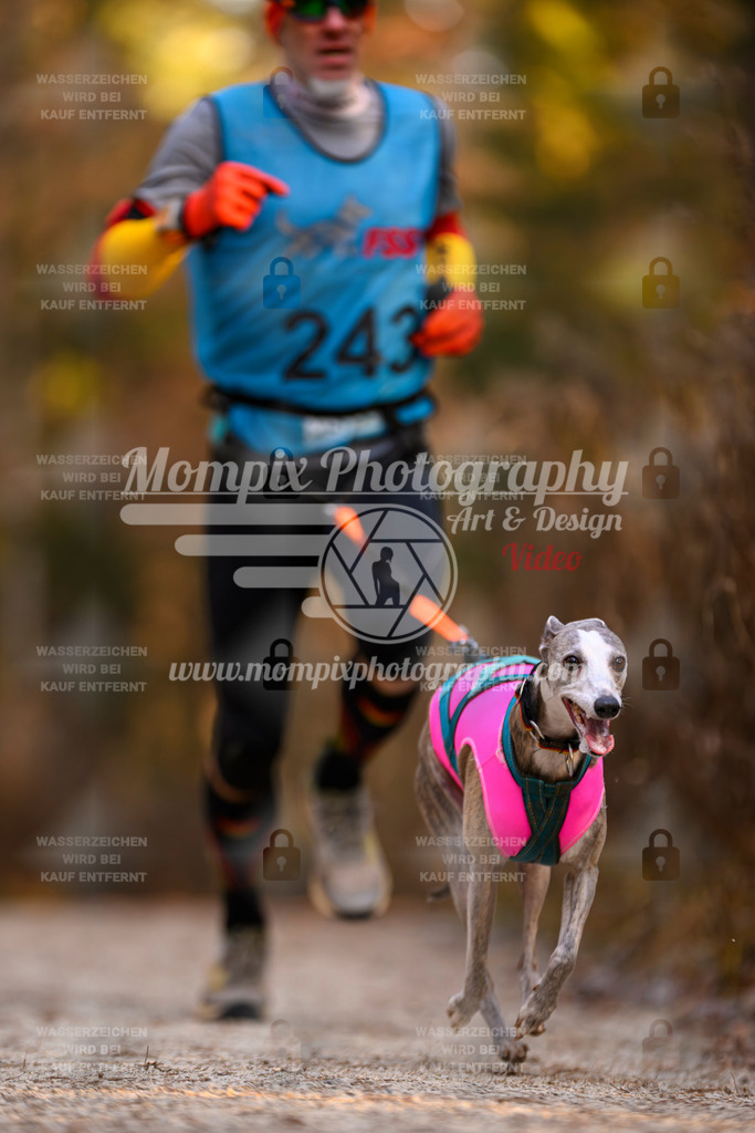 MompixPhotography_DM_AKDM_SO_2025_-80 | PayLife