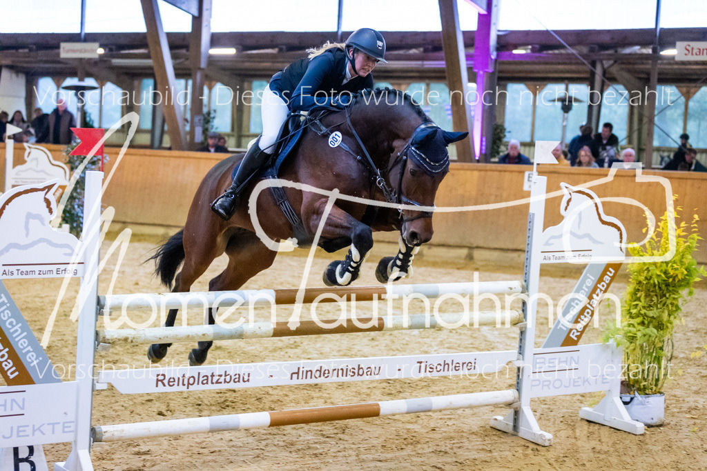 Sth-L-Springen-043 | MomenTaufnahmen Pferdesportfotos