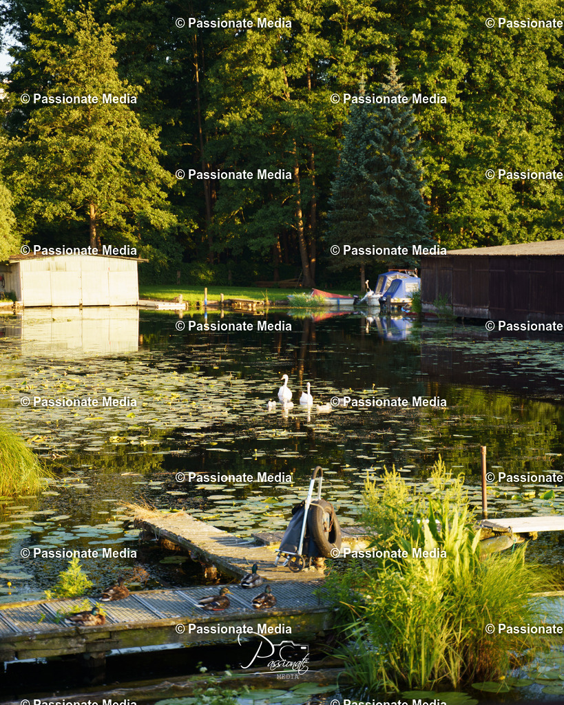 DSC08825 | Passionate Media, dein Fotograf aus Brandenburg, Märkisch Oderland, im Bereich Motorsport, Autos und Motorräder sowie Events und auch Hunde. Shootings oder auch Eventbegleitungen können bei mir gebucht we