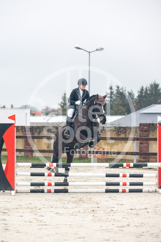 DSC_8408 | sattelsport - Realisiert mit Pictrs.com