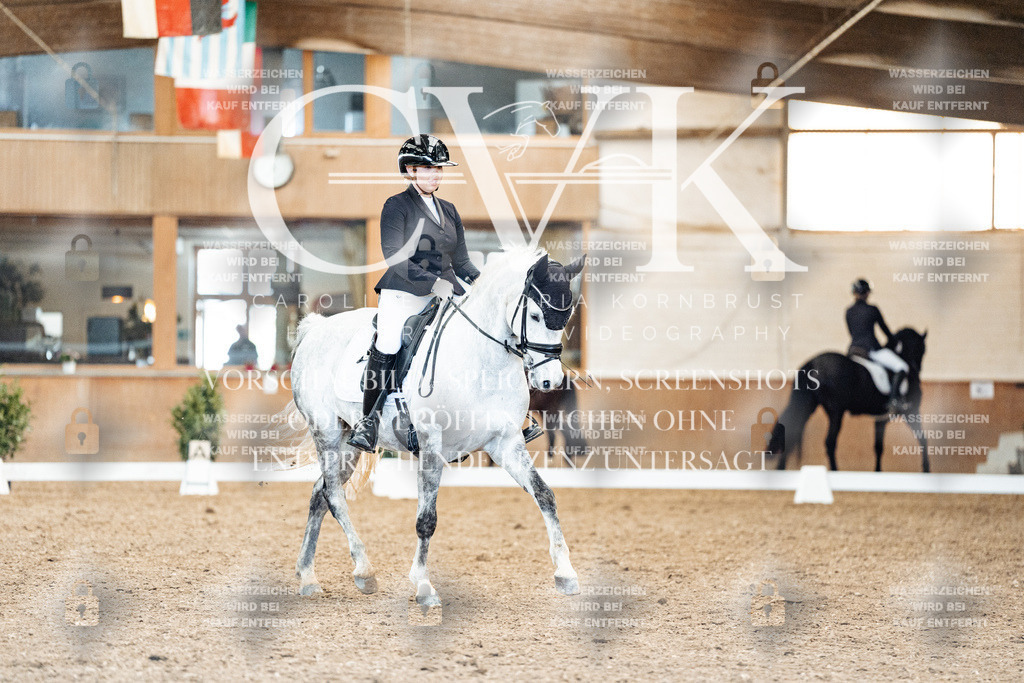 CK909632 | Turnierfotografie Pferdefotografie Trier Rheinland-Pfalz Pferdesport Reitsport Tierfotografie Sportfotografie Pferdevideo Pferdevideografie Equestrianvideography equestrianphotography  - Realisiert mit Pictrs.com