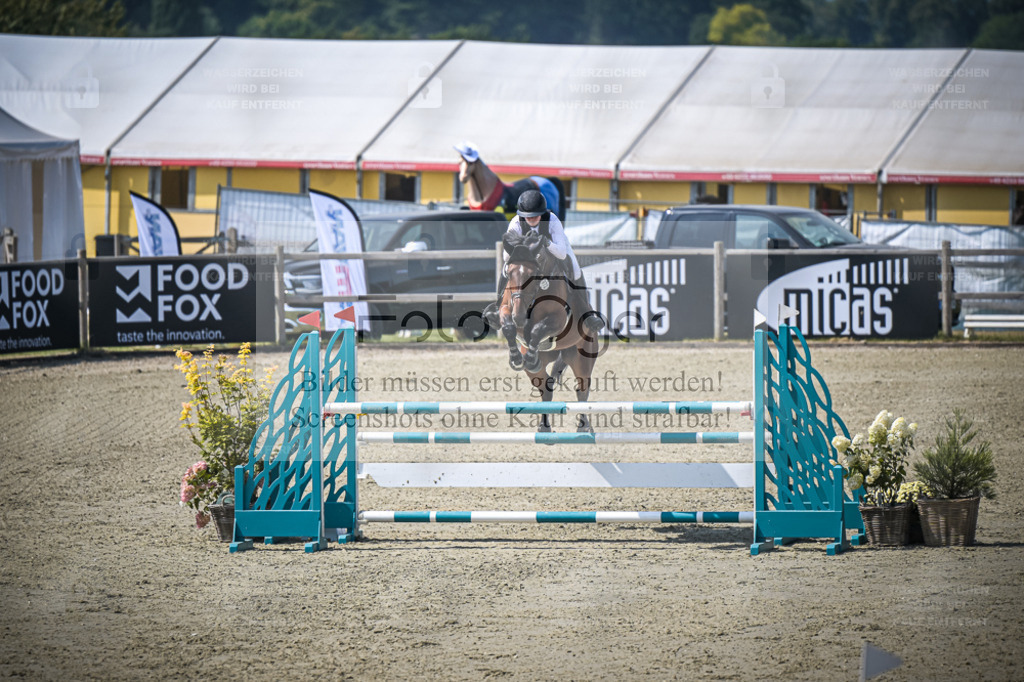 DOS_0940 | Entdecke hochwertige Reitturnierfotos von Foto Oger. Professionell, emotional und authentisch – jetzt Lieblingsmomente im Shop bestellen. - Realisiert mit Pictrs.com