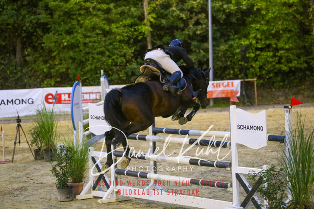 IMG_6277 | Turniersportfotografie; Pferdefotografie; Dressurfotografie