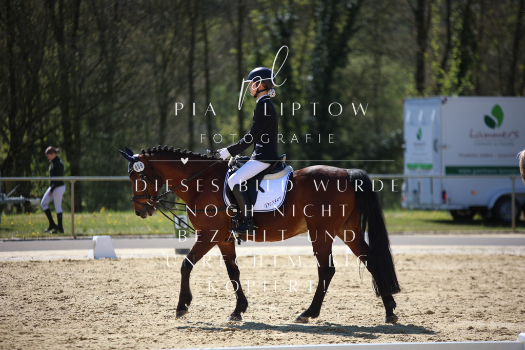 IMGT0233 | pl-fotografie