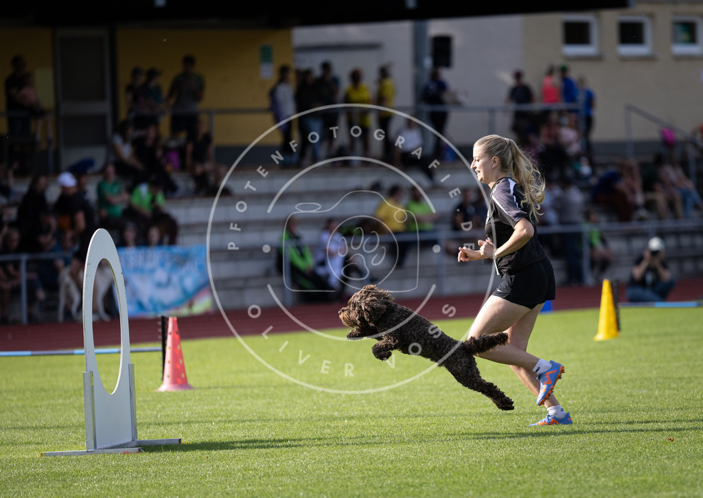 Pfotenfotografie_DV3A2535 | Hundefotografie, Tierfotograf, Pfotenfotografie, Fotoshooting Hund, Hunde Portrait, Hundesport, Hundeportraits, Heideshooting, Hunde, Sportfotograf, Hundefotograf, Turnierhundsport, THS,  - Realisiert mit Pictrs.com