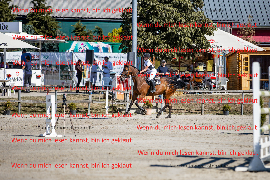 BK1A7913 | Turnierbilder Turnierfotos Nina Hüffmann Turnierfotografie Pferdefotografie Tierzeichnung Haustierzeichnung Pferdezeichnung Hundezeichnung Videograf  - Realisiert mit Pictrs.com