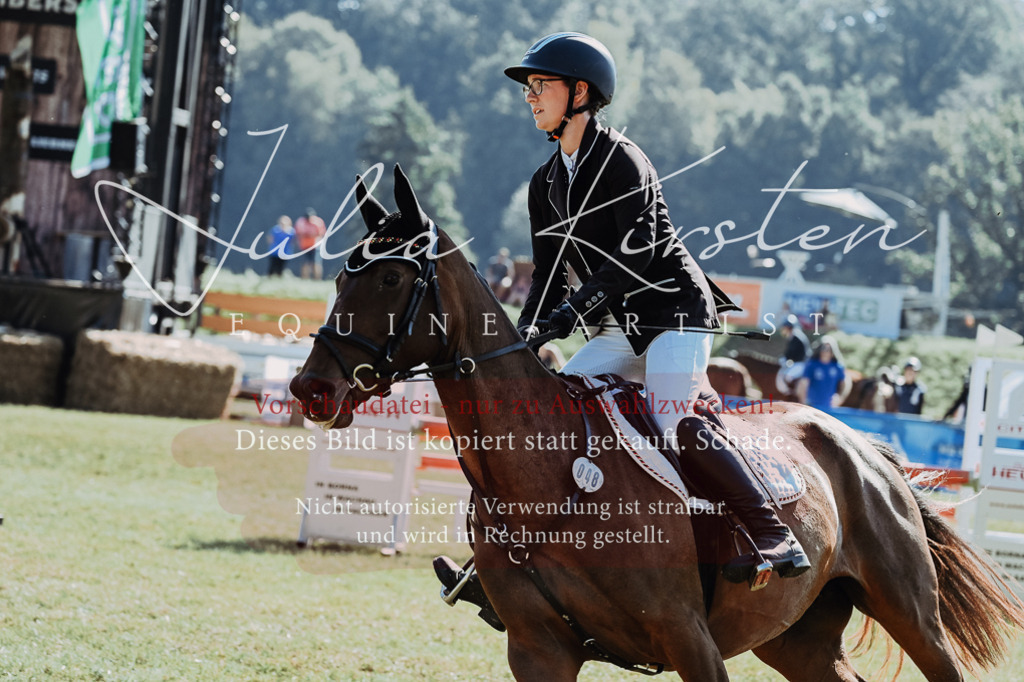 DSC_5577 | Pferde- und Turnierfotografie in Westsachsen. Pferdeportraits, Auftragszeichnungen und intuitive Kunst.