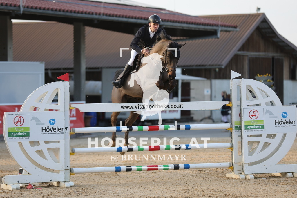 0P6A3273 | Willkommen bei Brunnmayr - Design & Fotografie – Ihrem Spezialisten für Reitturniere und Pferdeveranstaltungen in Oberösterreich, Salzburg und Bayern! Seit über 17 Jahren sind wir leidenschaftlich dabei.