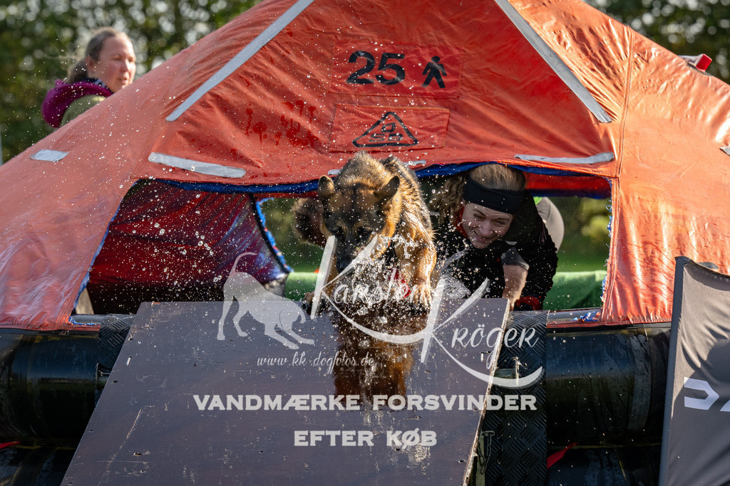 1115-91926 | kk-dogfotos