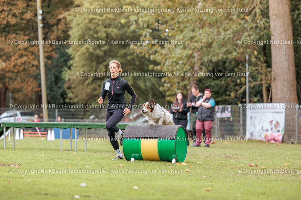 THS-HSV-Blumenthal-2026-Nickbest-Hundefotografie-4092 | Dein Hund! Dein Moment! Deine Erinnerungen! Hundefotografie in Bremen Blumenthal. Ich fange die besonderen Momente deines Vierbeiners ein – ob Indoor mit Blitzanlage oder in der freien Natur. Sicher dir dein Moment und dein Termin für eure Erinnerungen.