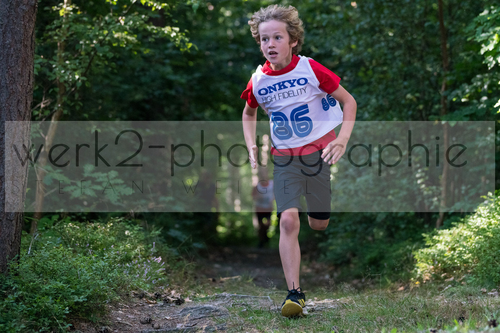 Rolr Schumann-Gedächtnislauf Frankenhain | 16. Rolf Schumann-Geächtnislauf und 6. TSV Ranglistenwettkampf Biathlon am 24. August in Frankenhain
