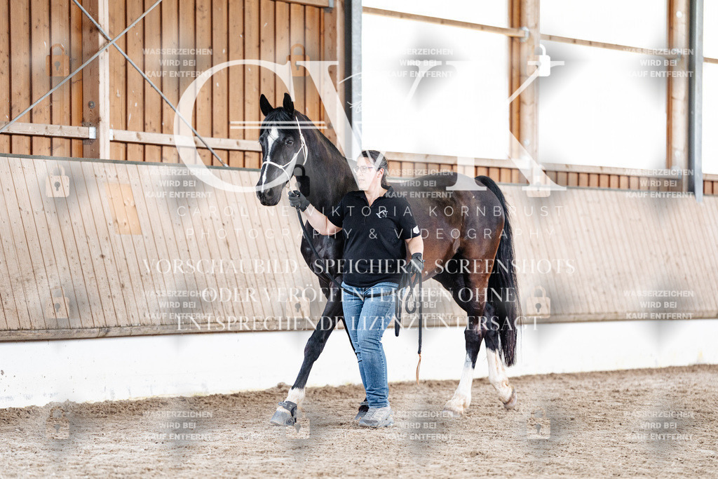 CK908027 | Turnierfotografie Pferdefotografie Trier Rheinland-Pfalz Pferdesport Reitsport Tierfotografie Sportfotografie Pferdevideo Pferdevideografie Equestrianvideography equestrianphotography  - Realisiert mit Pictrs.com